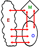 Modelo de Sistema Viable básico