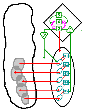 Los cinco sistemas y las conexiones con el entorno externo con el sistema 4 que también debe estar en contacto con la parte interna a través del sistema 3.