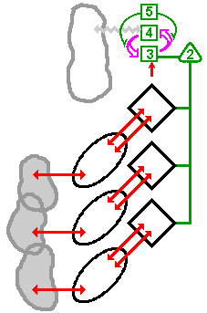 Esencia de todo el sistema en equilibrio entre lo interno y el entorno