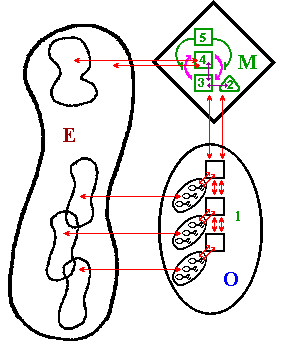 Modelo recursivo