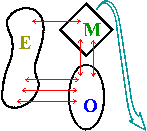 El Metasistema