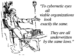 Todas las organizaciones se ven exactamente iguales ante los ojos cibernéticos, ya que todas están suscritas por las mismas leyes.(Complexity Approach To Sustainability, A: Theory And Application (Second Por Angela Espinosa, Jon Walker)