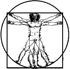 Vitruvian Man by Leonardo da Vinci