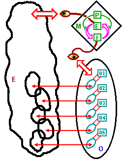 Los ojos del Sistema 4 mirando al ambiente externo y los ojos del sistema 4 mirando al Sistema 1