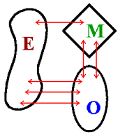 diagrama básico del Viable System Model