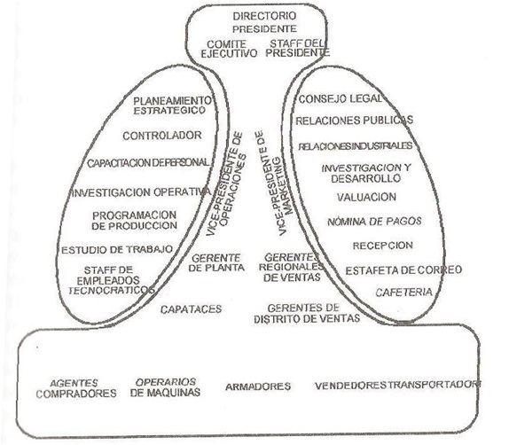 El modelo por áreas