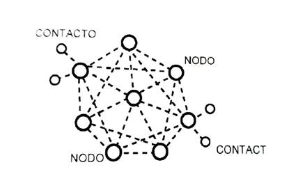 Spider web organization