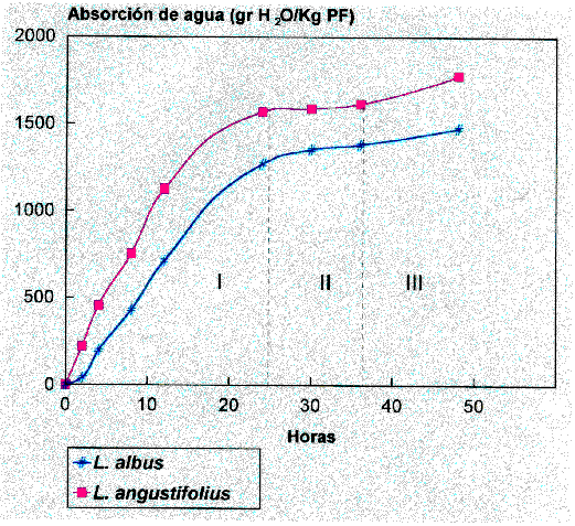 Figura 13