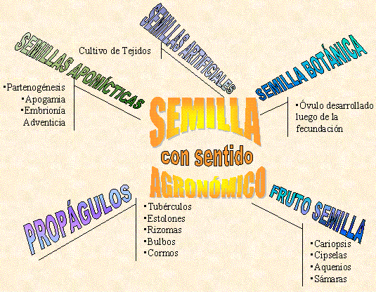 figura 1
